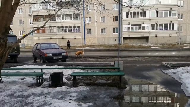 Купили магазин МАГНИТ смотреть онлайн