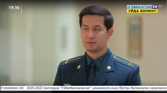 Комментарий к Закону смотреть онлайн