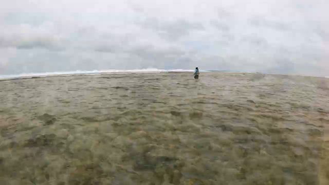 INSANE FLY FISHING ACTION SALTWATER FLATS смотреть онлайн