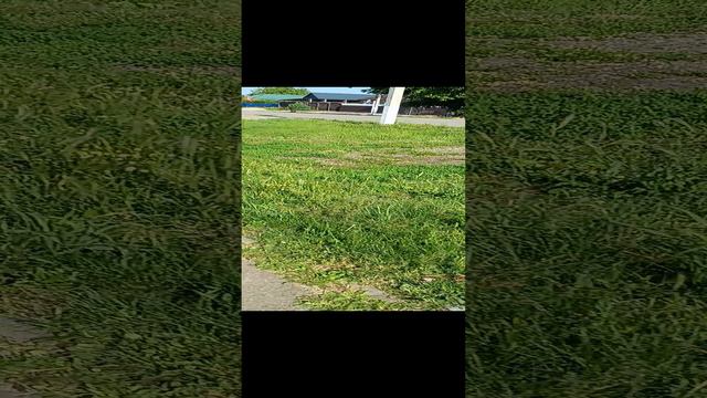 1000032366.mp4 смотреть онлайн