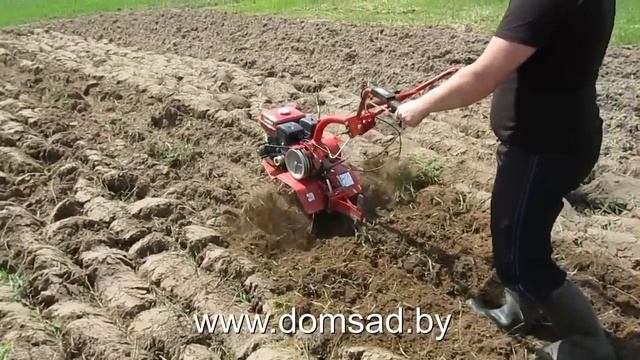 Культивируем мотоблоком 