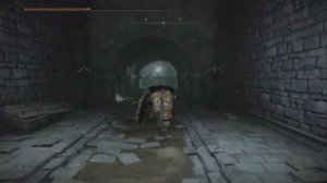 Elden Ring Жрец крови Эсгар [Босс]