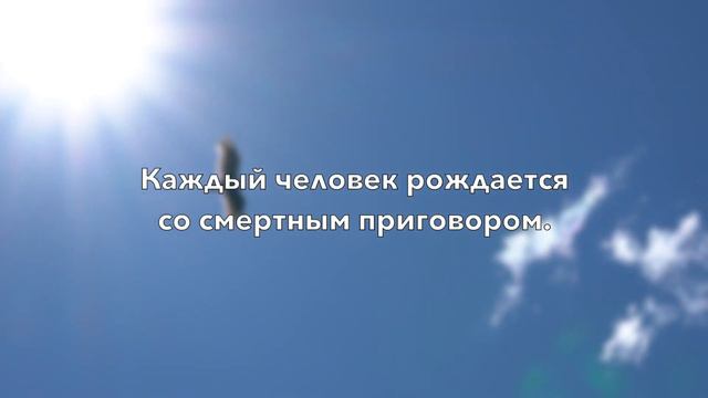 СТОИЦИЗМ День за днём — 2 Декабря смотреть онлайн