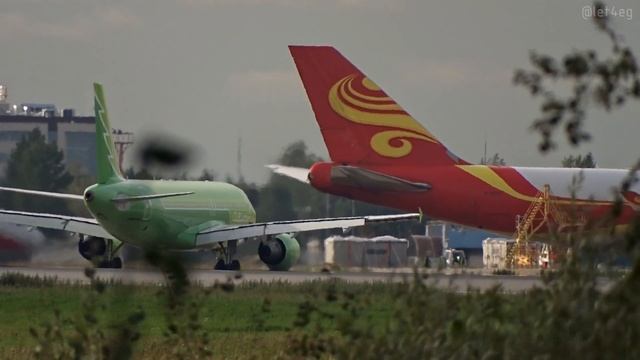 Сибирская елочка смотреть онлайн