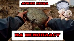 Ловля леща на донки!  Рыбалка на Оке!  Такого я не ожидал Клюет только на пенопласт с чесноком