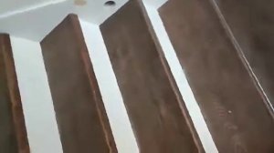 ЛЕСТНИЦА 2022