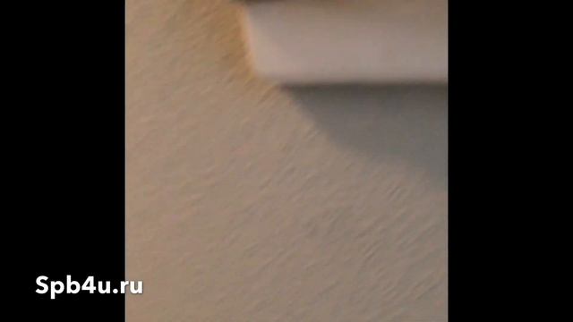 Мини-студия на Васильевском смотреть онлайн