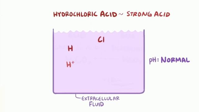 Кислотно щелочное равновесие осмосис на русском смотреть онлайн