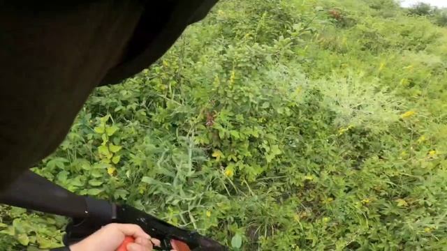 ? Штурмовая группа ЗВО