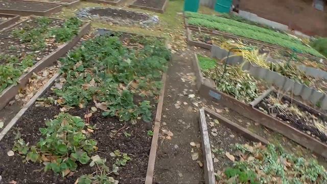 ЗАКРЫТИЕ ДАЧНОГО СЕЗОНА/ПОСЛЕДНИЕ РАБОТЫ НА ДАЧЕ 20г#154 смотреть онлайн