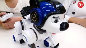 Новое видео распаковка - интерактивный робот Дружок! Роботы игрушки для мальчиков и девочек