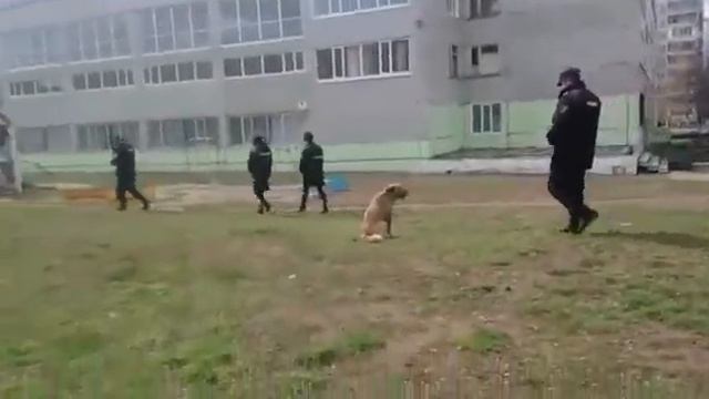 Как разговаривать с полицией? смотреть онлайн