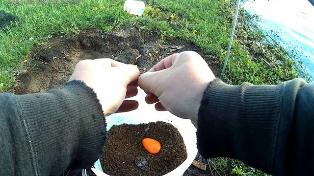 Рыбалка на карася Колывань. Флэт кормушка на фидер. смотреть онлайн