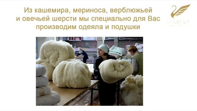 Что такое шерсть смотреть онлайн