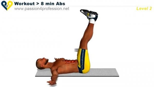 8 Min Abs Workout - Level 2 (ThePro9411)