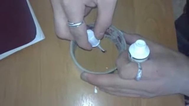 Муха блондинка