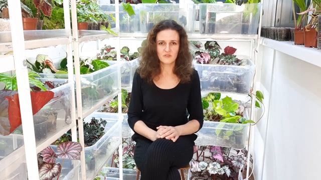 Продавать растения я больше не хочу смотреть онлайн