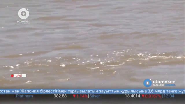 Штаб сбора помощи пострадавшим от паводка смотреть онлайн