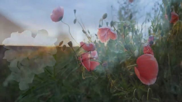 Beautiful Flowers ~ Planet Earth Amazing Nature Scenery & The Best Relax Music • 1 HOURS смотреть онлайн