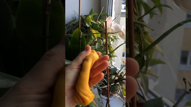 Воск для лепки