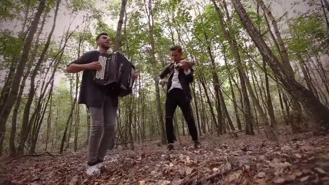 Красивое сочетание скрипки и аккордеона смотреть онлайн