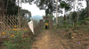 100 Days building free farm: Take care of growing vegetable garden, fish pond, pig herd