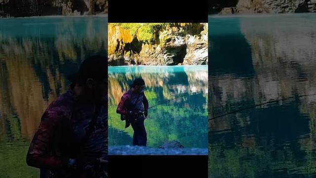 Рыбалка на Сулакском каньоне. Окунь #shorts смотреть онлайн