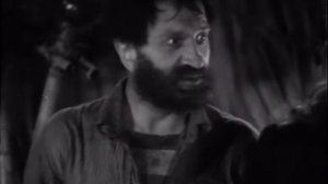 Капитан Себастьян Перейра , торговец чёрным деревом , негоциант