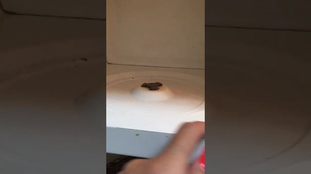 Жироудалитель Армель/Армэль жжёт смотреть онлайн