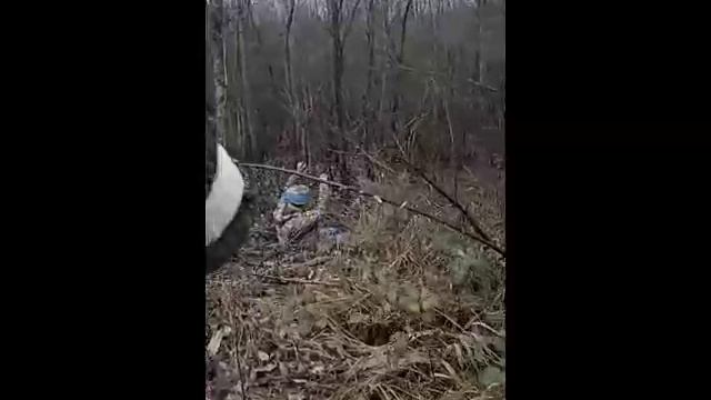 При взятии в плен сразу стала беременной смотреть онлайн
