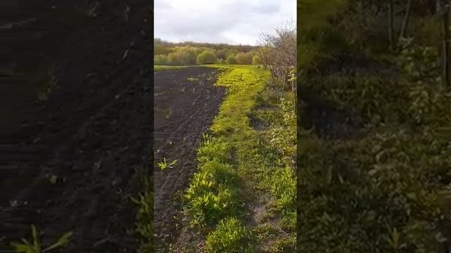 Лето в деревне Романовского района, Саратовской области. смотреть онлайн