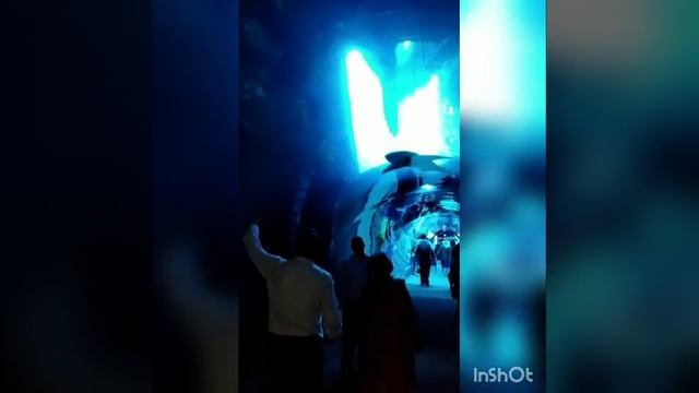 Dubai underwater aquarium and zoo, ticket 210 AED/4200 INR смотреть онлайн