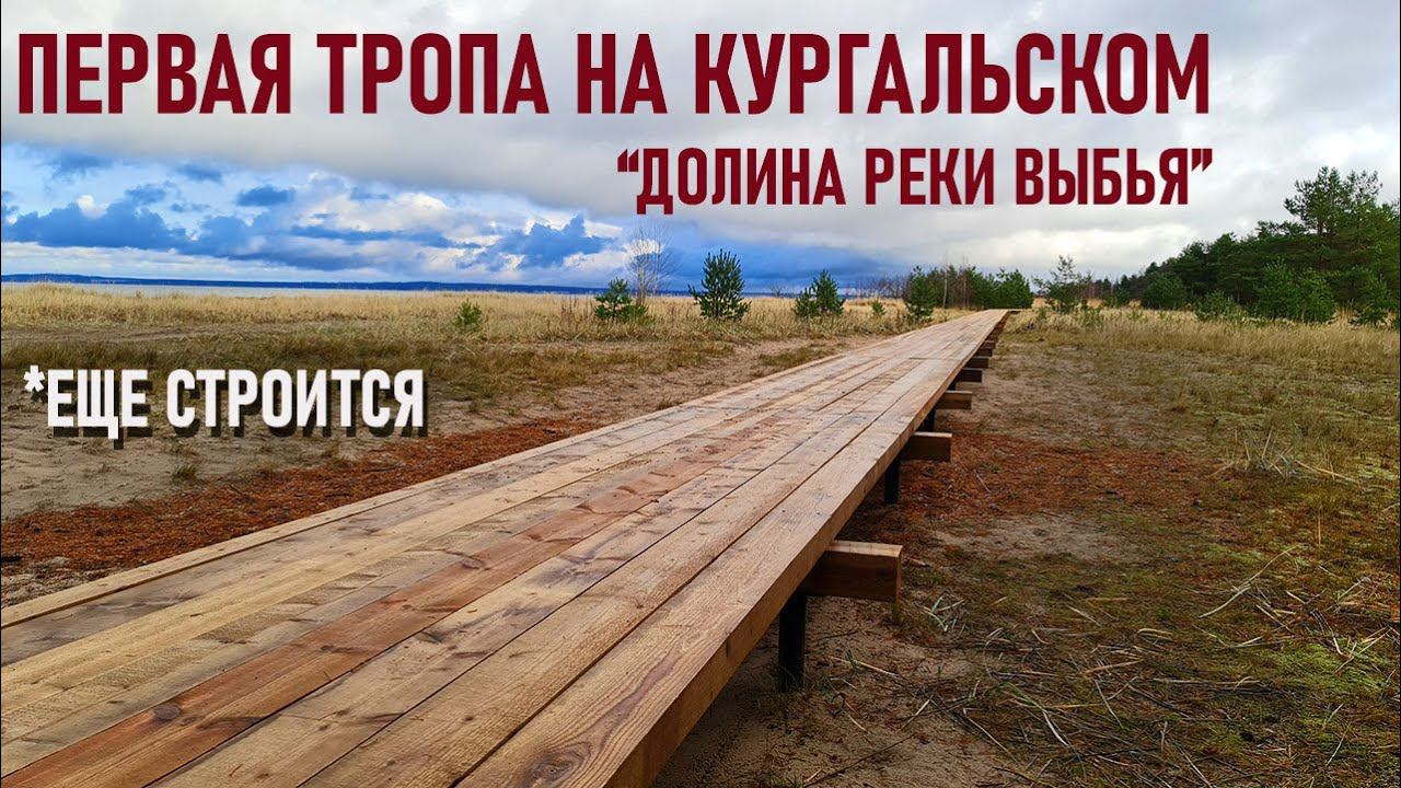 Тропа "Долина реки Выбья и Лужская Губа", ООПТ Кургальский полуостров, строящаяся экотропа смотреть онлайн