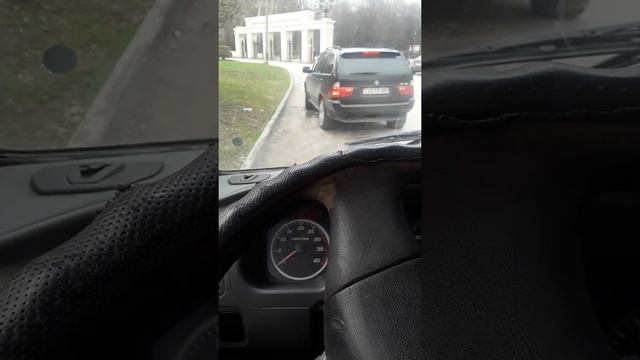 Горный баран в ЦПКиО. смотреть онлайн