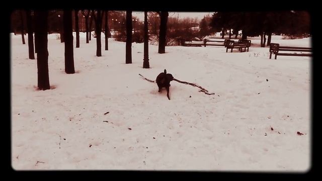 Аллегра. Игры на свежем воздухе.? смотреть онлайн