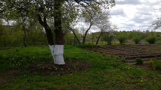 Вы просили рассказать... смотреть онлайн