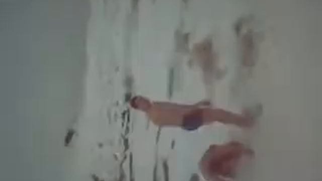 Моржи Тюлени смотреть онлайн