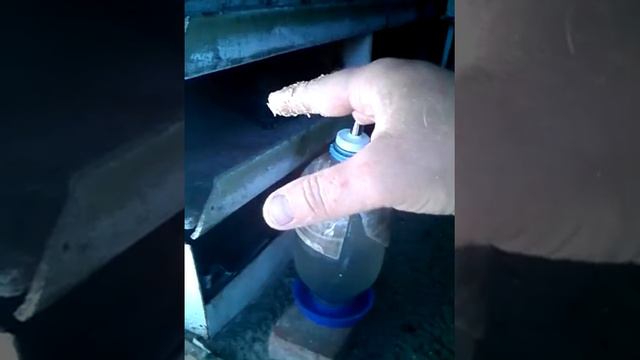 ,, ВИТАМИНЫ ДЛЯ ГОЛУБЕЙ ,, смотреть онлайн