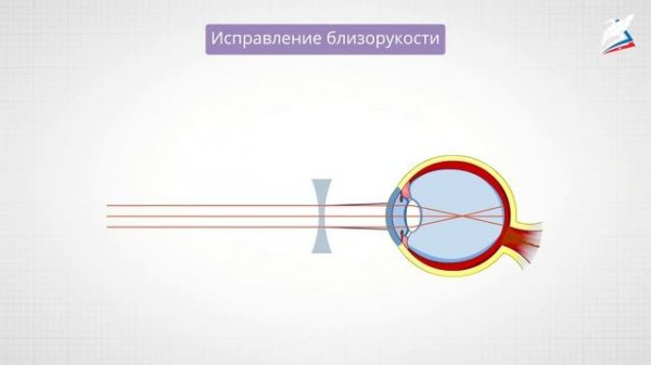 Глаз как оптическая система. Оптические приборы. Геометрическая оптика.