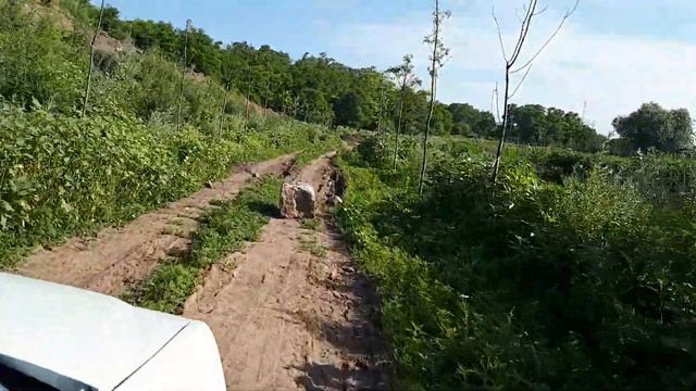 02 июля 2021 год. Сбросы канализации в реку Темерник с ЖК "Суворовский" продолжаются. смотреть онлайн