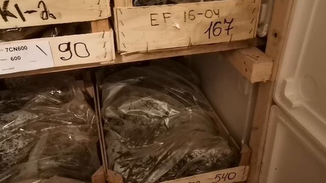 Рассада фриго! смотреть онлайн