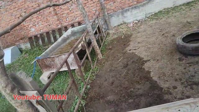 Про недоуздки, какие лучше при обучении и воспитании. Лошади. жеребца, кабылы, жеребёнка, смотреть онлайн