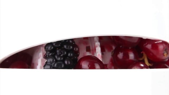 Borner Saftpresse powerline - Korte handleiding - (Nederlands) смотреть онлайн