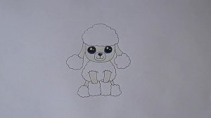 Как ПРОСТО нарисовать СОБАКУ ПУДЕЛЯ/467/How easy it is to draw a DOG POODLE