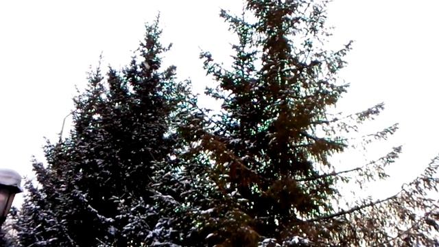 Камера Sharp SH530U (camera test, sample): пример видео в HD, 720p смотреть онлайн