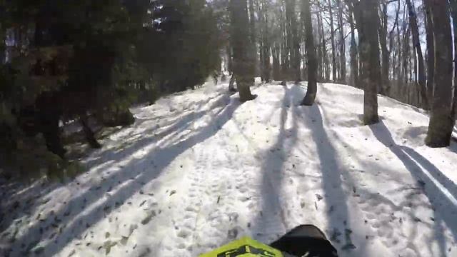 SNOWRIDER Wildlife 2 смотреть онлайн