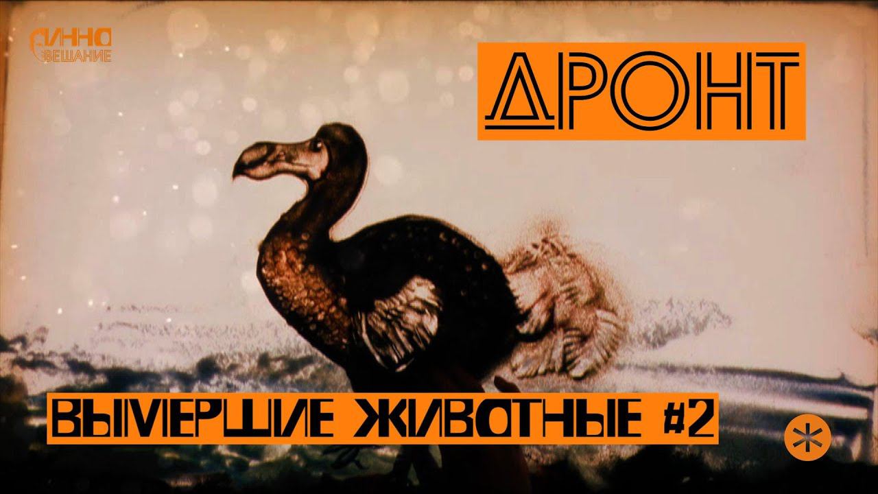 ДРОНТ. ВЫМЕРШИЕ ЖИВОТНЫЕ. СЕРИЯ ВТОРАЯ. смотреть онлайн