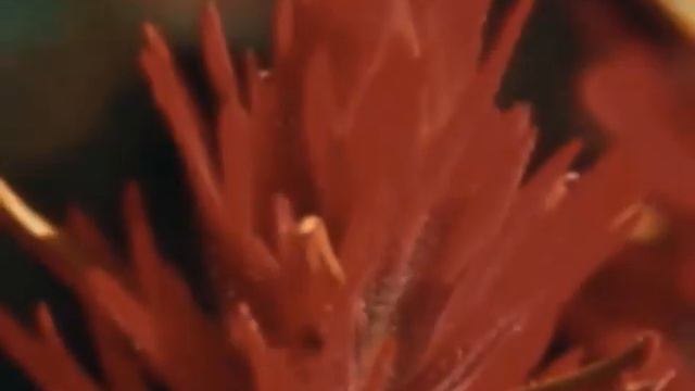 (1984) INGSOC Propaganda