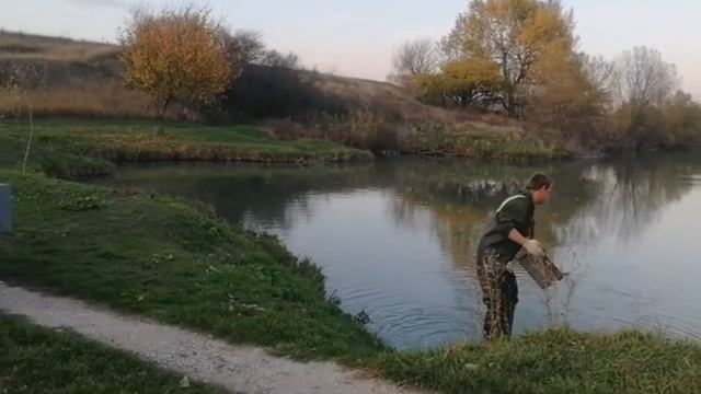 Зарыбление пруда - База Веселая акула смотреть онлайн
