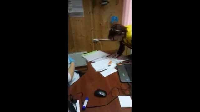 Морозова Н В разносит инфекцию в Правление СНТ " Юбилейное" смотреть онлайн